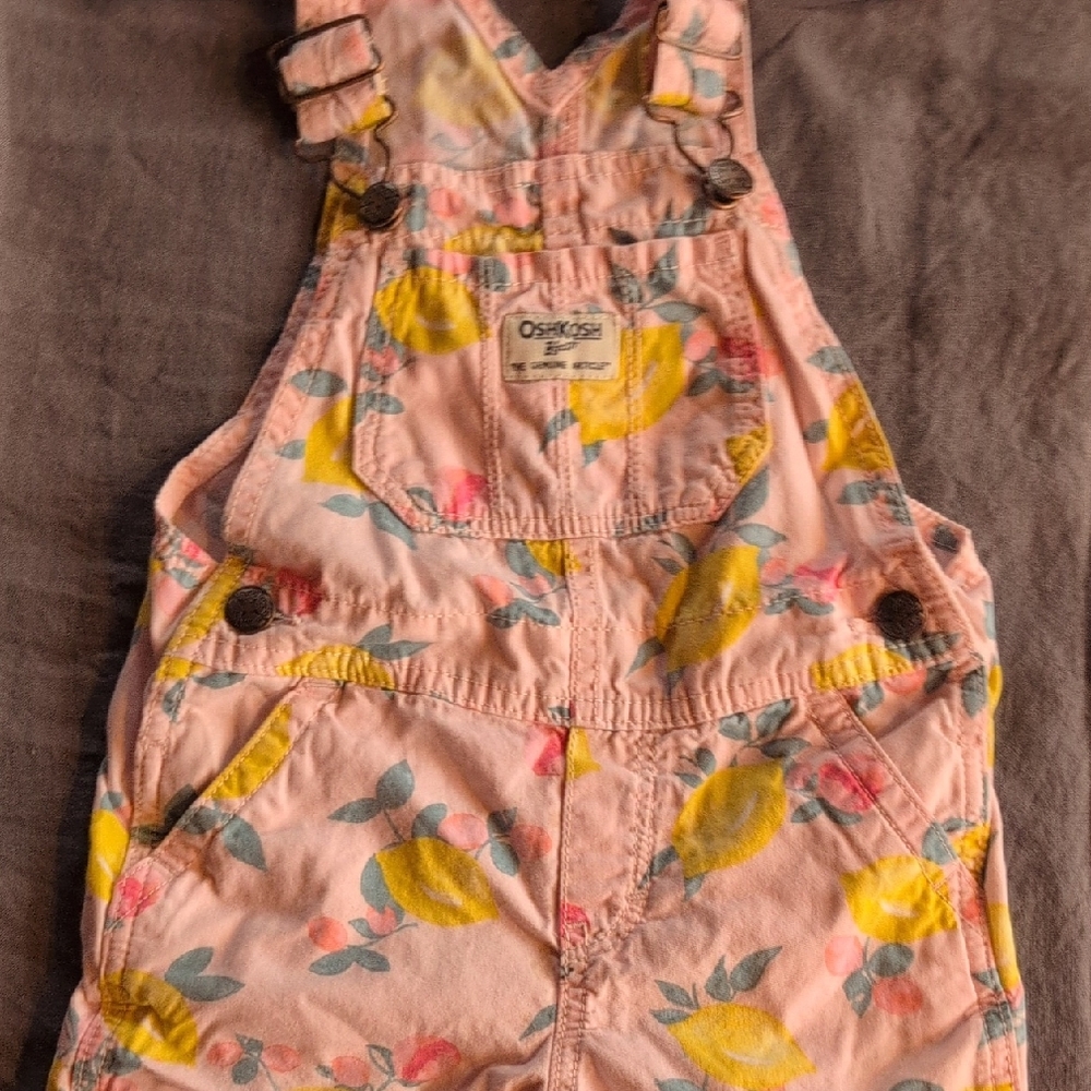 OshKosh B'gosh Pink Lemon Pattern Overalls
